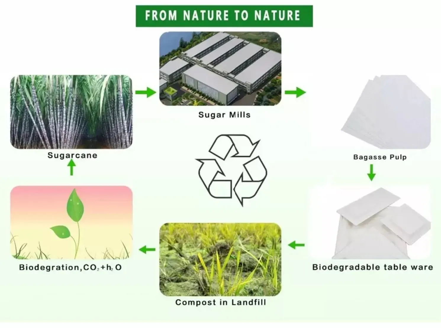 Características de los proveedores de contenedores para llevar de cajas de alimentos de bagazo